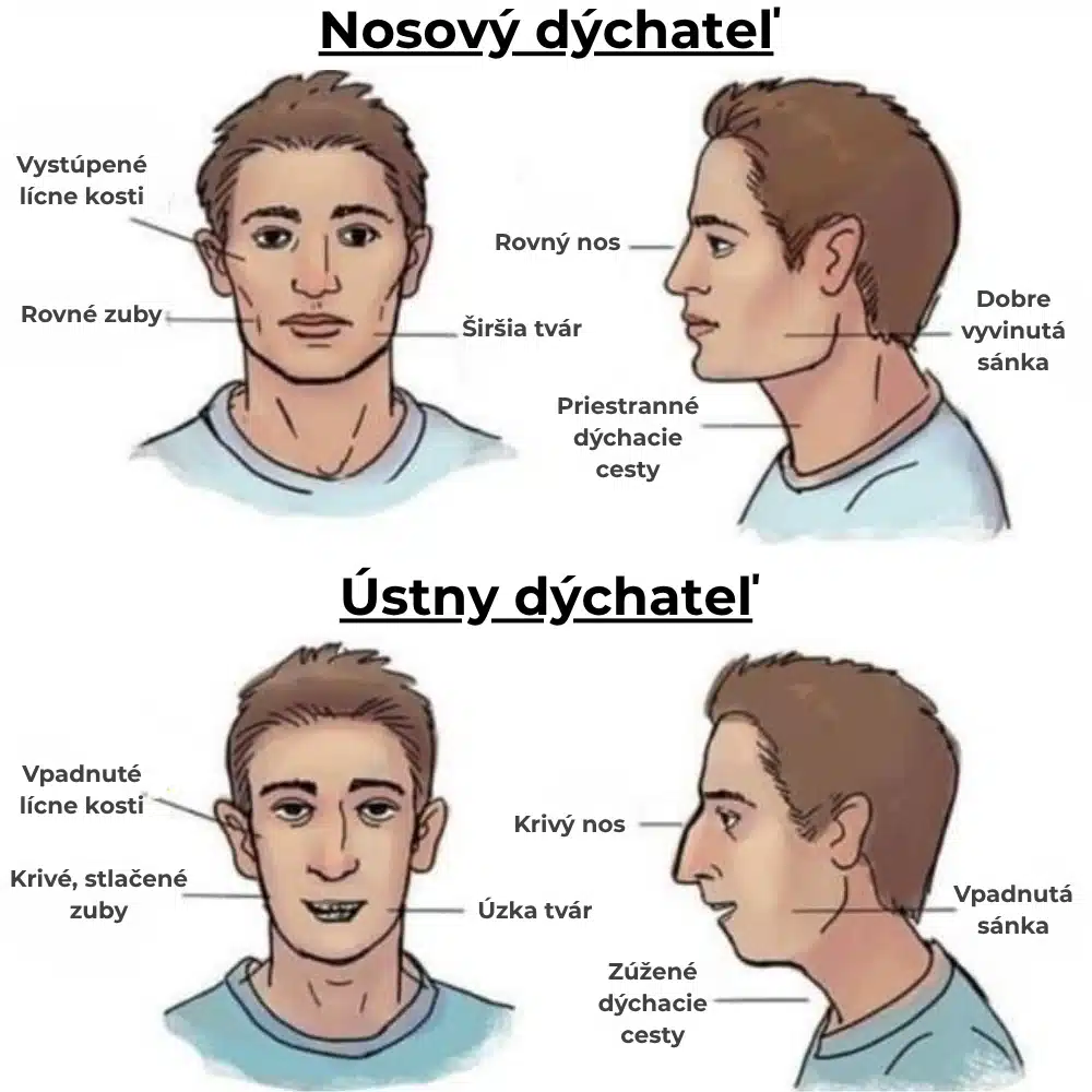 nosový dýchateľ a ústny dýchateľ.webp